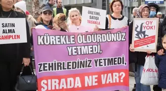Aydın'da tilki ve köpeklerin zehirle öldürüldüğü iddialarıyla ilgili basın açıklaması