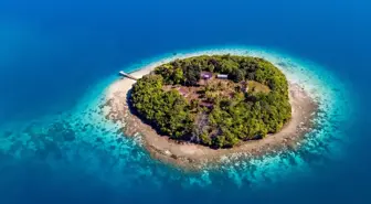 Tonga nerede, hangi kıtada? Tonga'nın nüfusu ne kadar? Tonga hangi dili konuşuyor?