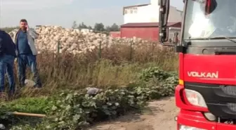 Antakya'da kuyuya düşen köpek itfaiye ekiplerince kurtarıldı