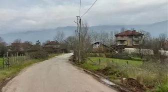 Bartın'da Şap Hastalığı Nedeniyle 12 Köy Karantina Altına Alındı