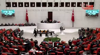 TBMM'de Bütçe Görüşmeleri... Ömer Faruk Gergerlioğlu: 'Hastayı Dinlemezsen Teşhis Yarım Kalır. Kürt Teyzeler, Amcalar, Derdini Türkçe Anlatamayanlar...