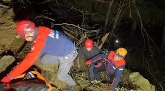 Artvin'de Orman İşçisi Uçuruma Yuvarlanarak Hayatını Kaybetti