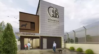 Bayrampaşa Belediyesi Yeni Hayvan Barınağı İnşa Ediyor