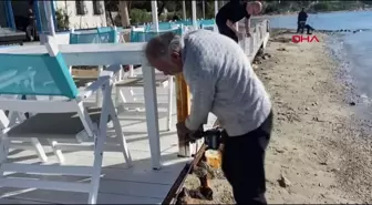 Bodrum'da kıyı işgali söküm işlemleri başladı