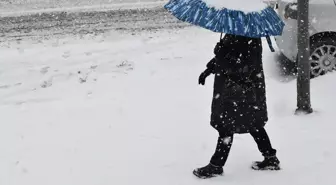 Erzurum ve Kars'ta kar etkili oluyor