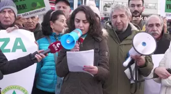 İstanbul Doğa Savunmaları: 'Yönetenlerin Görevi Ülke Ormanlarını Yağma ve Talana Açmak Değil Korumak ve Gelecek Kuşaklara Aktarmak Olmalıdır'