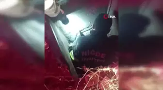 Niğde'de kuyuya düşen köpeği itfaiye ekipleri kurtardı