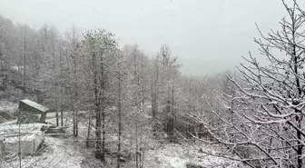Rize ve Artvin'de Kar Yağışı: Ulaşım Kapandı