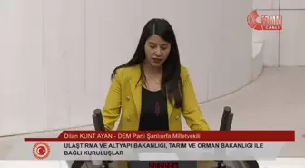 Uçak Seferlerinin Olmaması Şanlıurfa Milletvekili Dilan Kunt Ayan'ı İsyan ettirdi