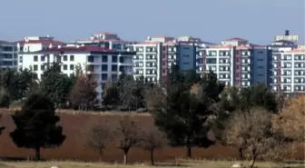 Diyarbakır'daki Kabaklı Göleti'ndeki yapılaşma kuş türlerini tehdit ediyor