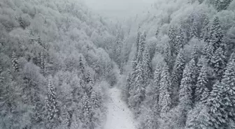 Kastamonu'nun yüksek kesimlerinde kar yağışı ve sis etkili oldu