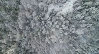 Kastamonu'da kar ve sis etkili oldu