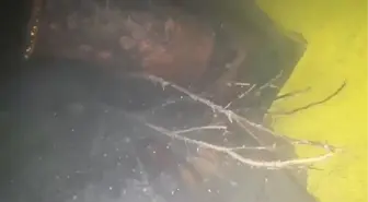 Zonguldak'ta batan geminin su altı görüntüleri ortaya çıktı