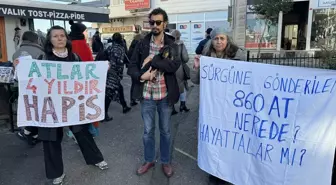 Adaların Atları Platformu, atların sağlıklı koşullarda bakılmasını talep etti