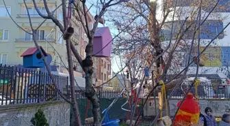 Düzce'de İlkokul Öğrencileri Kuşlar İçin Yuva Yaptı