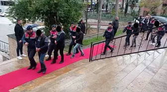 Bilecik'te köpeklerin ölümüyle ilgili tutuklu 4 kişi tahliye edildi