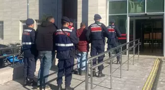 Burdur'da büyükbaş hayvan hırsızlığı yapan 4 zanlı tutuklandı