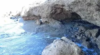 Didim'de kaybolan iş insanı Yasin Cinkaya'nın arama çalışmaları devam ediyor