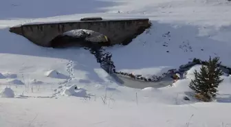 Erzurum, Kars ve Ardahan'da Soğuk Hava Etkili Oluyor