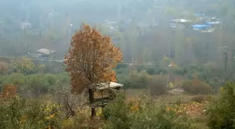 İslahiye'de Sonbaharın Güzelliği