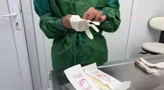 Seyhan Belediyesi Sokak Hayvanları Bakım ve Kısırlaştırma Merkezi Rekor Kırdı