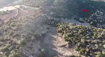 Altınyayla'da çalınan hayvanlar yakalandı