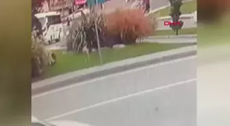 Sultangazi'de Sokak Köpekleri Tehlike Saçıyor
