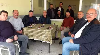 Burhaniye'de Zeytin Hasadı Yoğunluğu