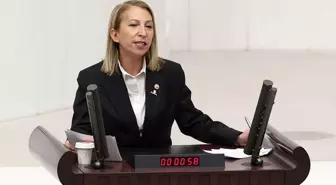 Cumhurbaşkanlığının 2024 yılı bütçesi TBMM Genel Kurulunda