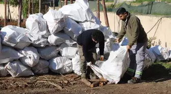 Kartal Belediyesi İhtiyaç Sahiplerine Yakacak Yardımı Yapıyor