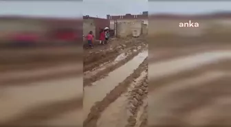 Şanlıurfa'da öğrenciler çamurlu yollarda okula gidiyor