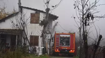 Samsun'da Ahır Yangınında 7 Büyükbaş Hayvan Telef Oldu