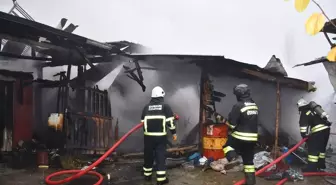 Samsun'da ahır yangınında 7 büyükbaş hayvan telef oldu