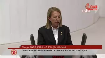 CHP Milletvekili Süreyya Öneş Derici'den güvenlik kurumlarına paralel yapılanmalara tepki