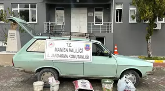 Manisa'da başkasına ait zeytin bahçesinden hırsızlık