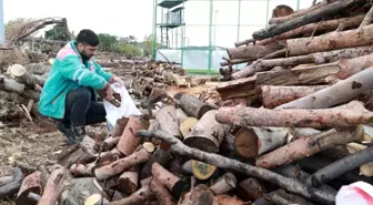 Burhaniye Belediyesi İhtiyaç Sahiplerine Yakacak Yardımı Yapıyor