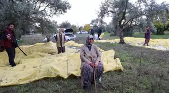 87 Yaşındaki Nine, Tarla-Bahçe İşlerinden Kopmuyor
