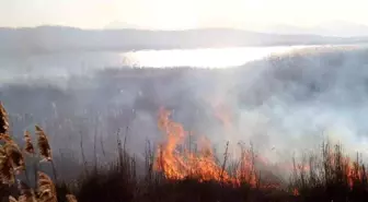 Beyşehir Gölü'nde çıkan yangın balıkçıları korkuttu