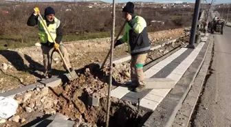 Kuzey Kuşak Yolu'nda Bitkilendirme Çalışmaları Devam Ediyor