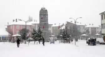 Tokat'ta Başçiftlik ve Artova ilçelerinde kar yağışı etkili