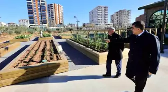 Fadıloğlu, Akay'a projelerle ilgili detaylı bilgi verdi
