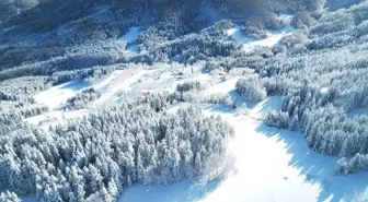 Kastamonu'da Kar Yağışıyla Beyaza Bürünen Ormanlar