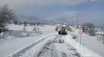 Samsun'da kar yağışı nedeniyle kapanan 42 mahalle yolu ulaşıma açıldı