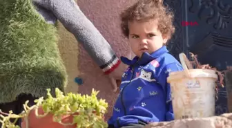 İHH, Suriye'deki 2.567 aileye 770 ton kömür dağıttı