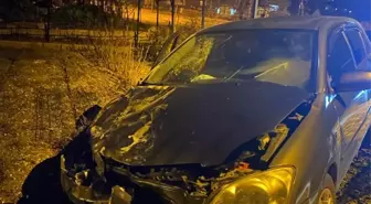 Gölpazarı Belediye Başkanı ve bir kişi trafik kazasında yaralandı