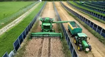 ABD'nin ilk dikey agrivoltaik sistemi