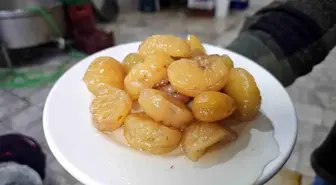 Aydın Kestanesi Japonları Etkiledi