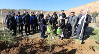 Aksaray'da Evlenecek Çiftler Fidan Dikecek