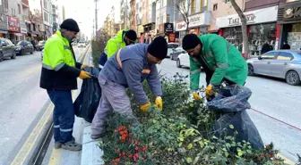 Bozüyük Belediyesi Yeşil Alanlarda Temizlik ve Bakım Çalışmalarına Devam Ediyor