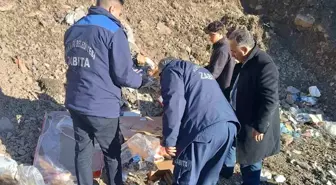 Hakkari Belediyesi Zabıta Müdürlüğü tarihi geçmiş ürünleri imha etti